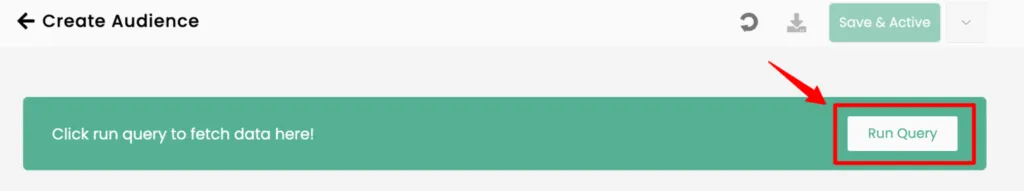 This image explains that the runquery setup in create audience